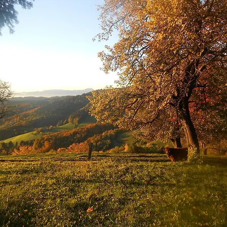 Turisticna Kmetija Grasic - Gradisnik