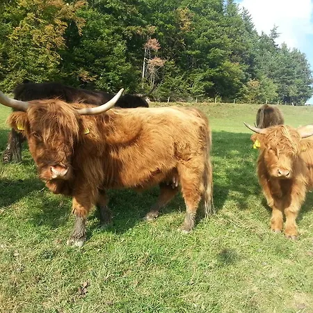 Turisticna Kmetija Grasic - Gradisnik Hočko Pohorje