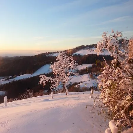 Turisticna Kmetija Grasic - Gradisnik * Hočko Pohorje