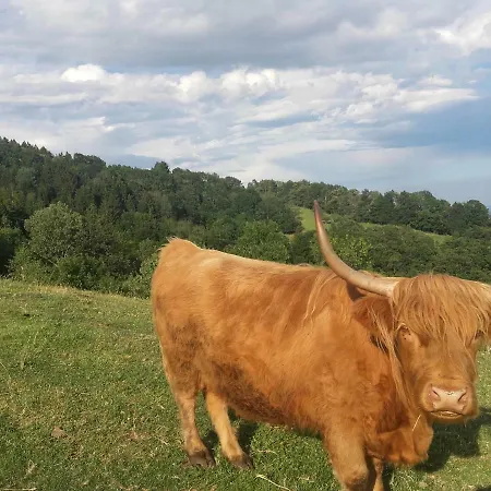 Turisticna Kmetija Grasic - Gradisnik Bauernhof Hočko Pohorje