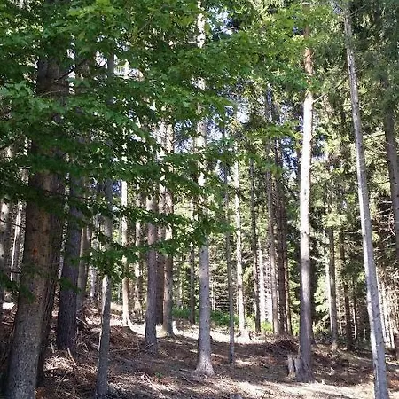 Turisticna Kmetija Grasic - Gradisnik