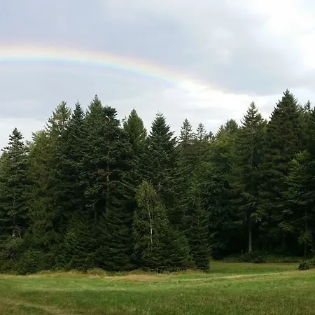 Turisticna Kmetija Grasic - Gradisnik Hočko Pohorje