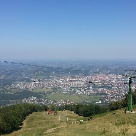 Turisticna Kmetija Grasic - Gradisnik
