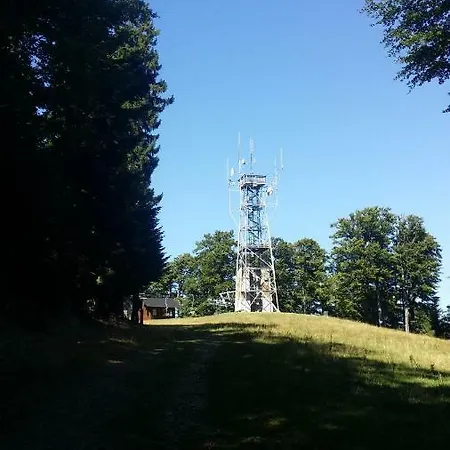 Bauernhof Turisticna Kmetija Grasic - Gradisnik Hočko Pohorje