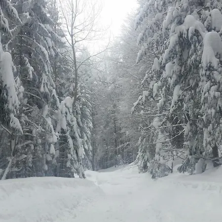 Bauernhof Turisticna Kmetija Grasic - Gradisnik Hočko Pohorje