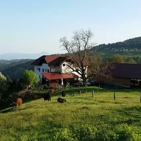 Turisticna Kmetija Grasic - Gradisnik Bauernhof Hočko Pohorje